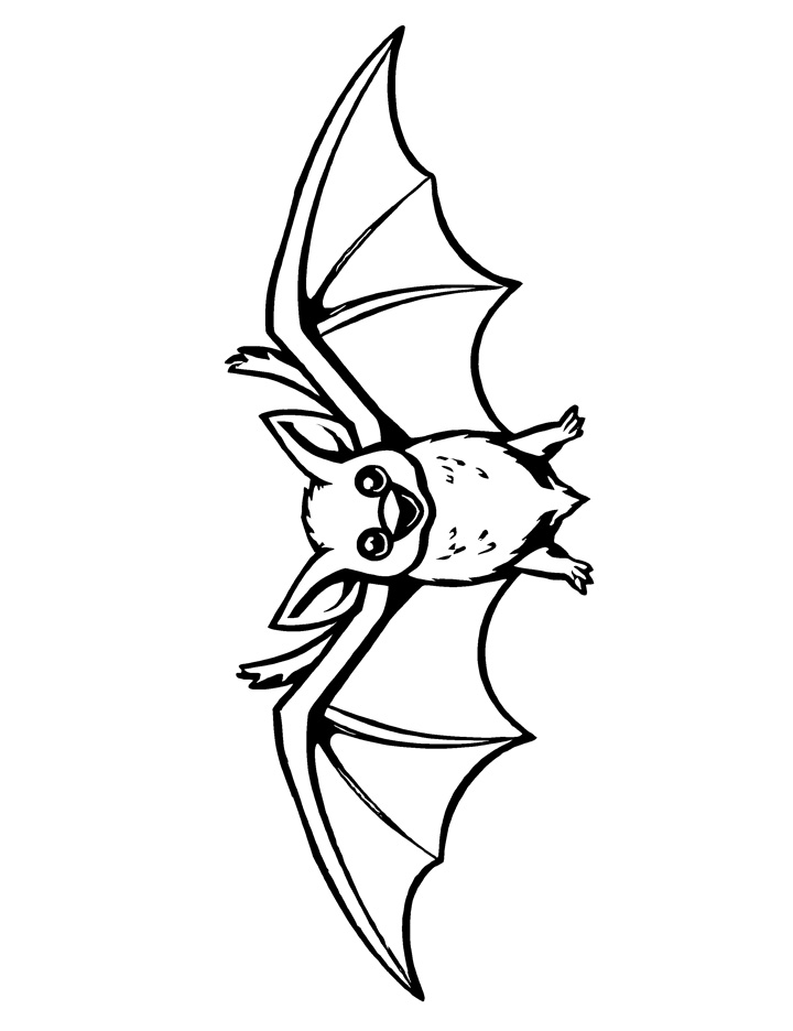 Bat with open wings coloring page