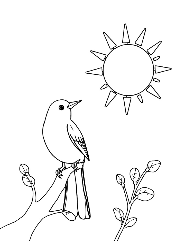 Canary bird and sun coloring page