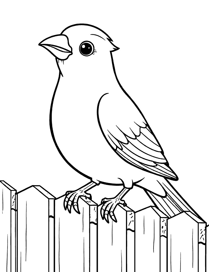 Canary bird perched on a fence coloring page