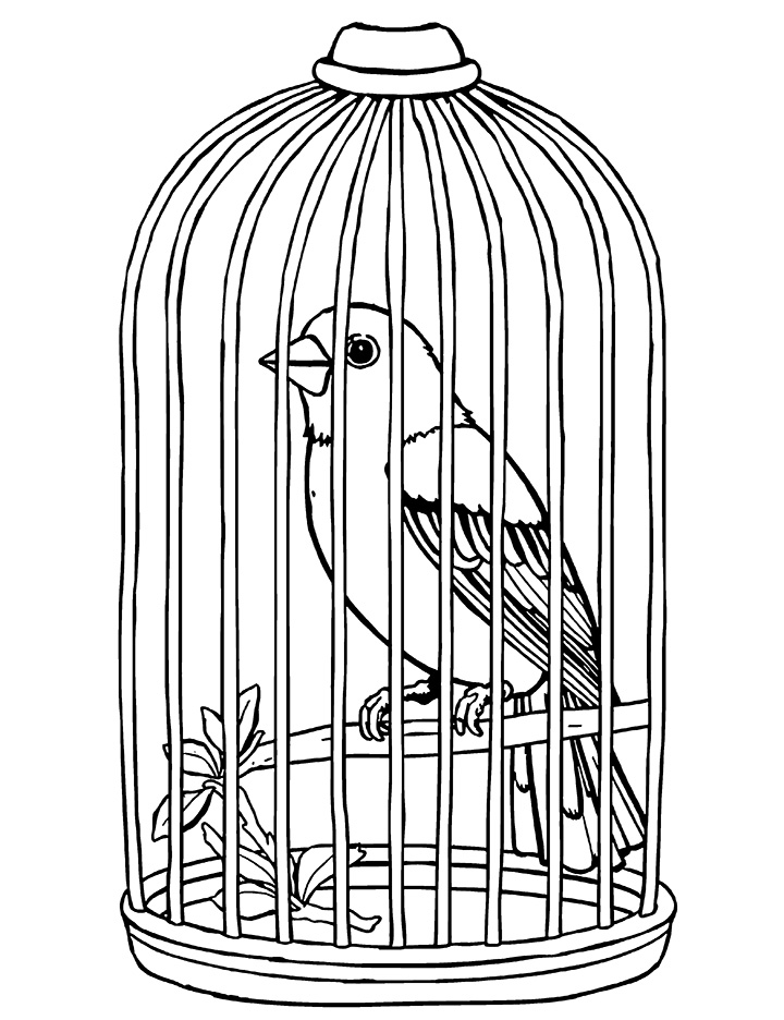 Canary in a cage coloring page 2