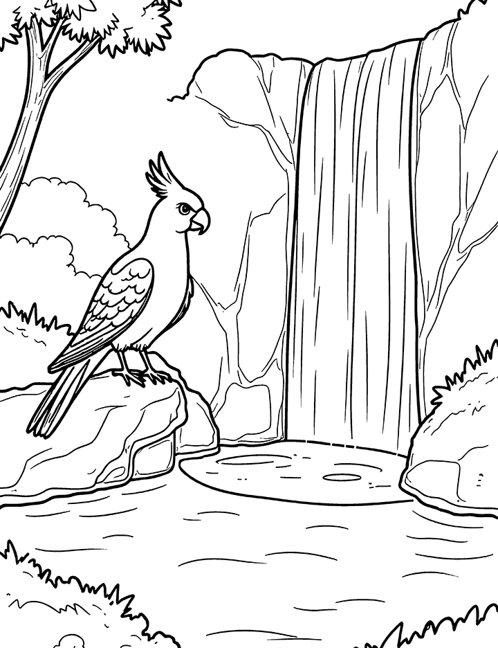 Cockatoo bird and waterfall coloring page