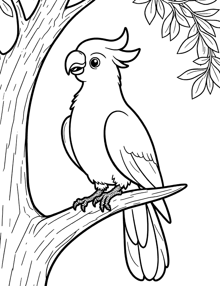 Cockatoo bird in a tree coloring page