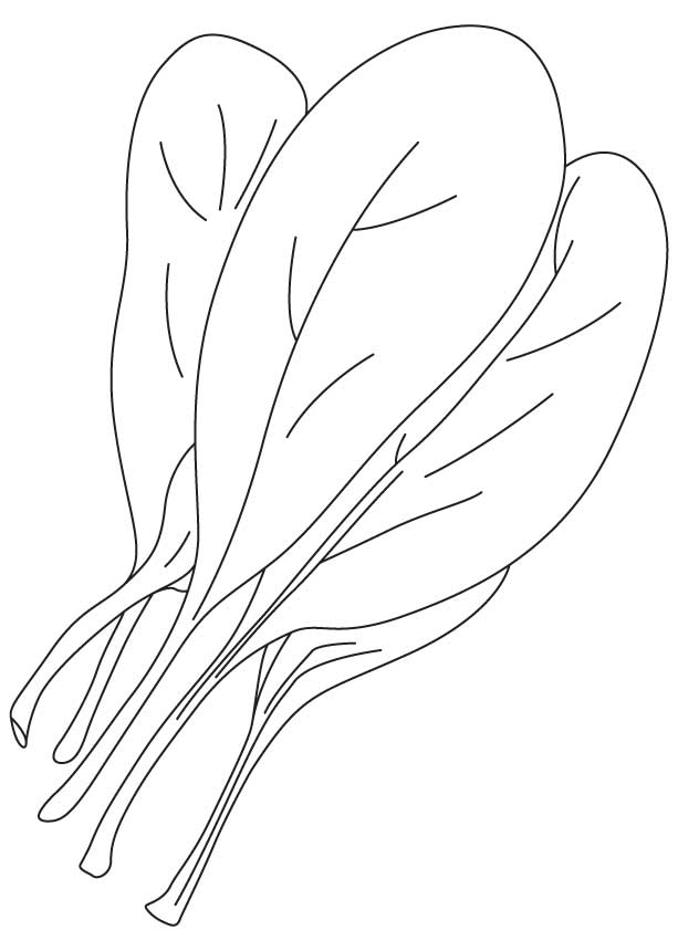 Common spinach coloring page | Download Free Common spinach coloring ...