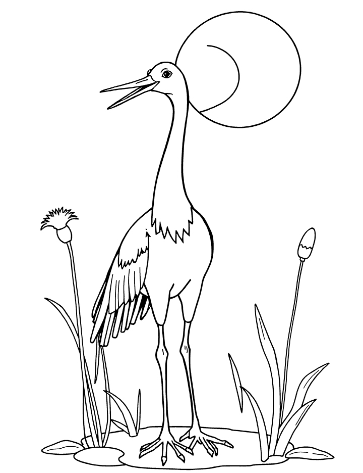 Crane bird with reed coloring page