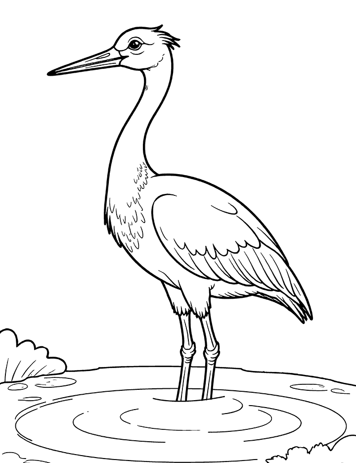 Crane bird in a pond coloring page