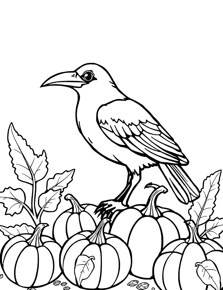 Crow bird with pumpkins coloring page