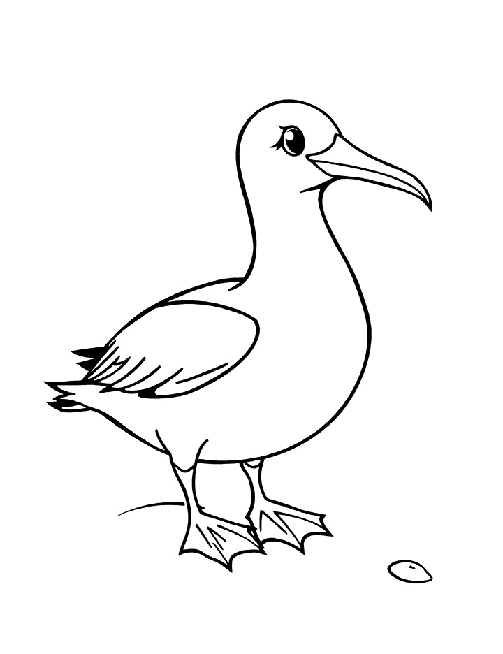 Cute albatross coloring page