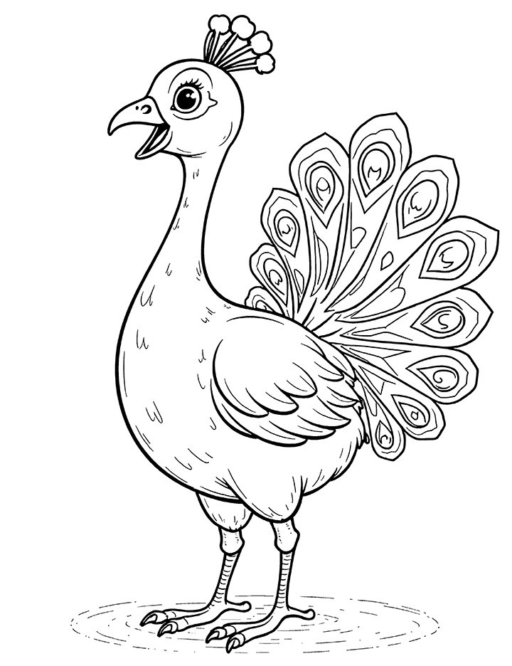 Decorative peacock coloring page