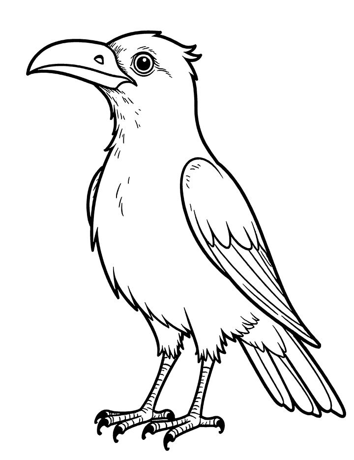 Detailed crow coloring page