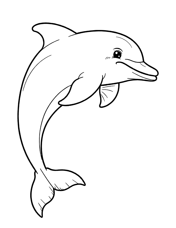 Dolphin enjoying coloring page