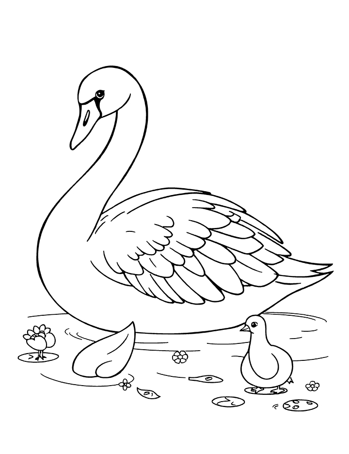 Graceful swan on a lake coloring page