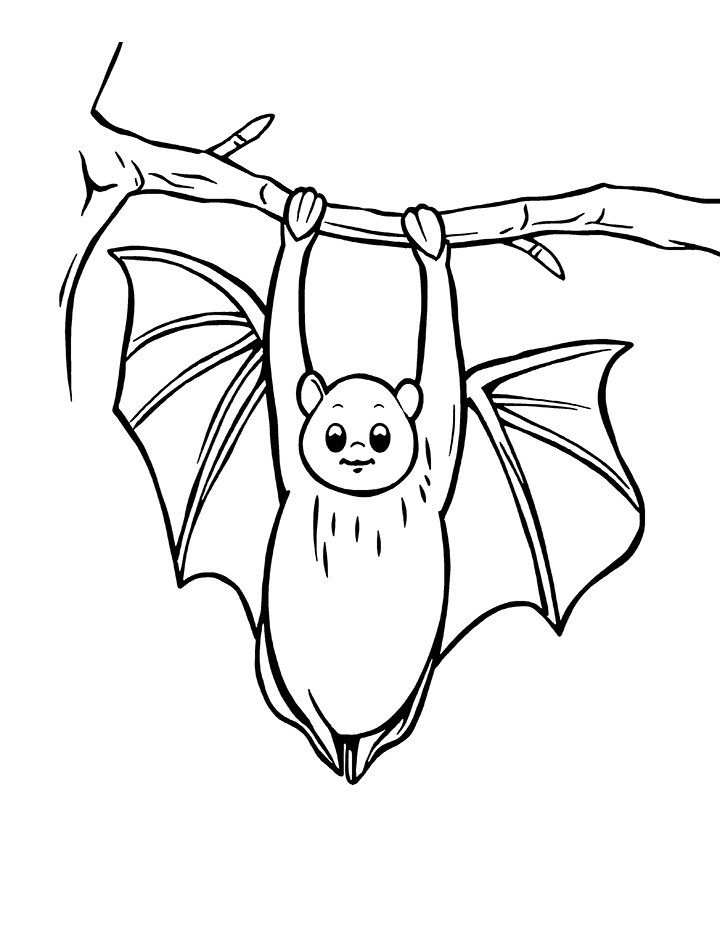 Hanging bat coloring page