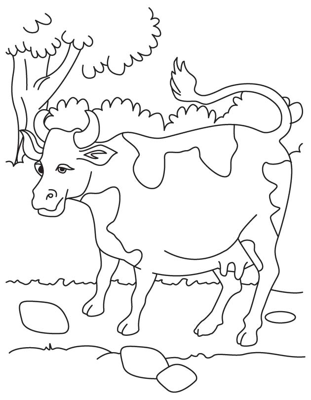 Milk resource the cow coloring page | Download Free Milk resource the ...