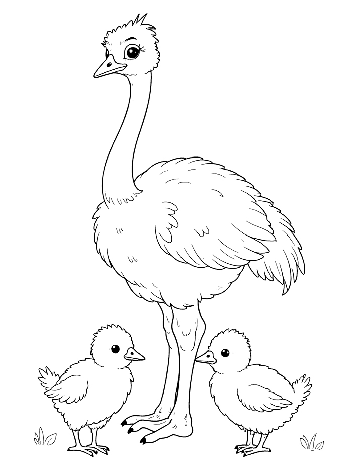 Ostrich and baby chicks coloring page