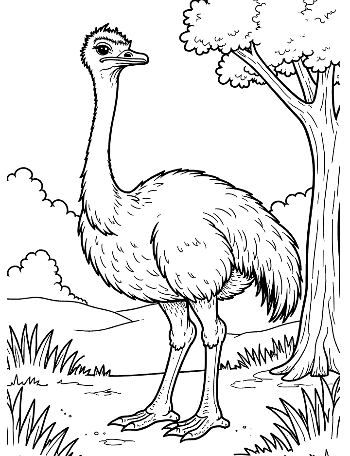 Ostrich and its habitat coloring page