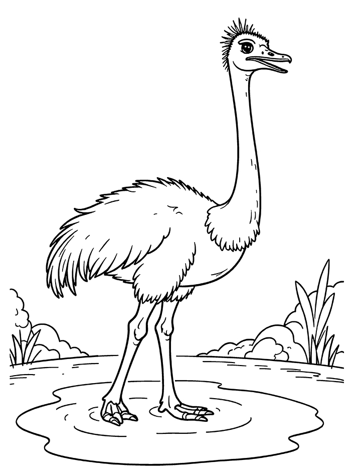 Ostrich standing in water coloring page