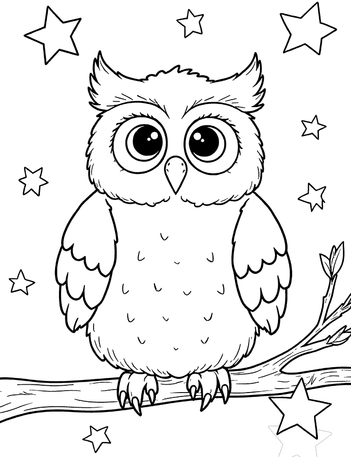 Owl and stars coloring page