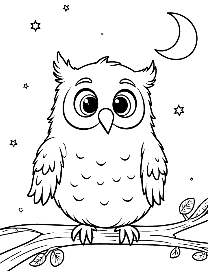 Owl with a night sky coloring page