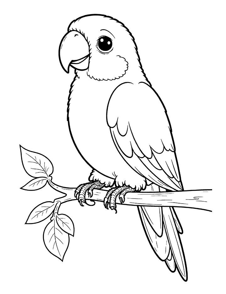 Parrot perched on a branch coloring page