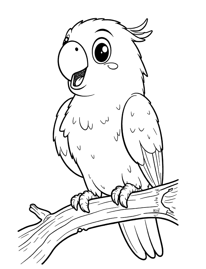 Parrot talking coloring page