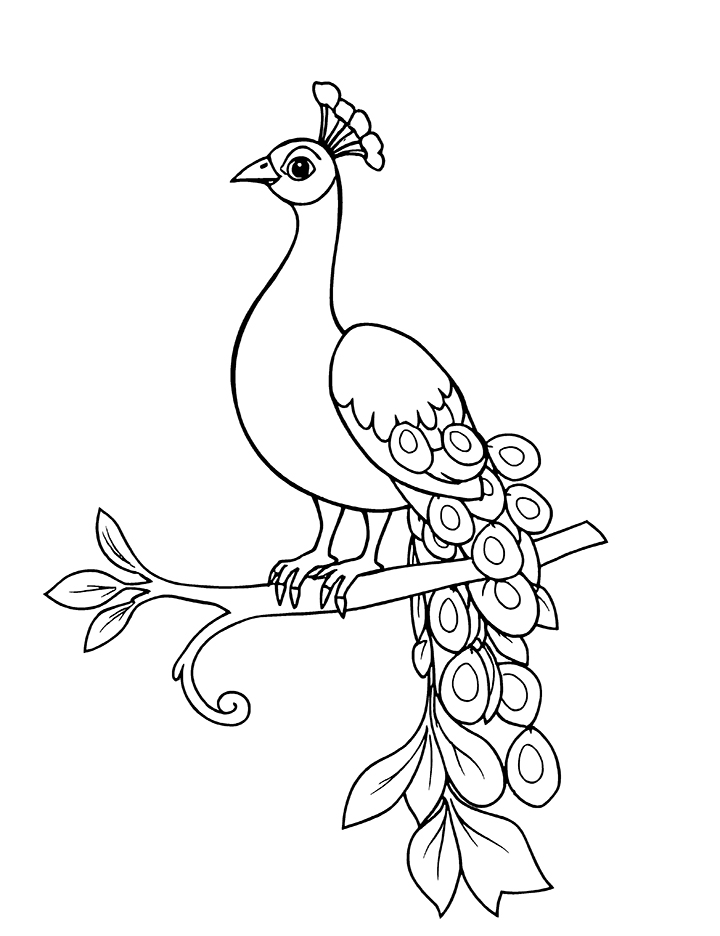 Peacock on a decorative perch coloring page