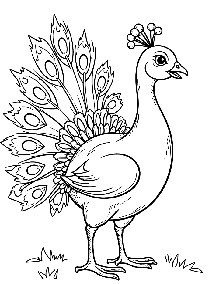 Peacock showing off its plumage coloring page