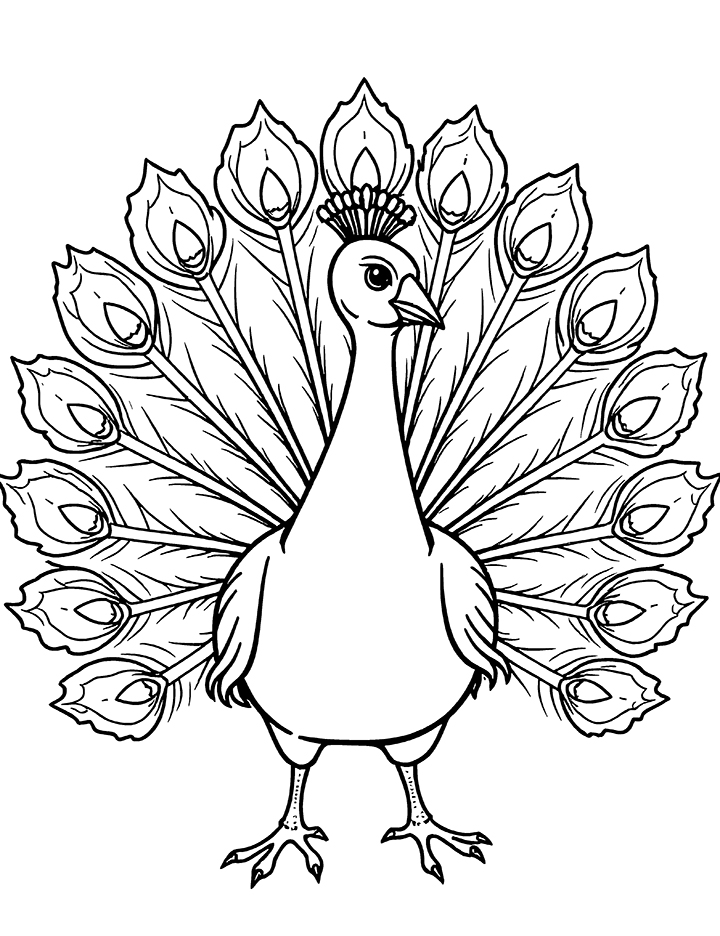 Peacock with open feathers coloring page