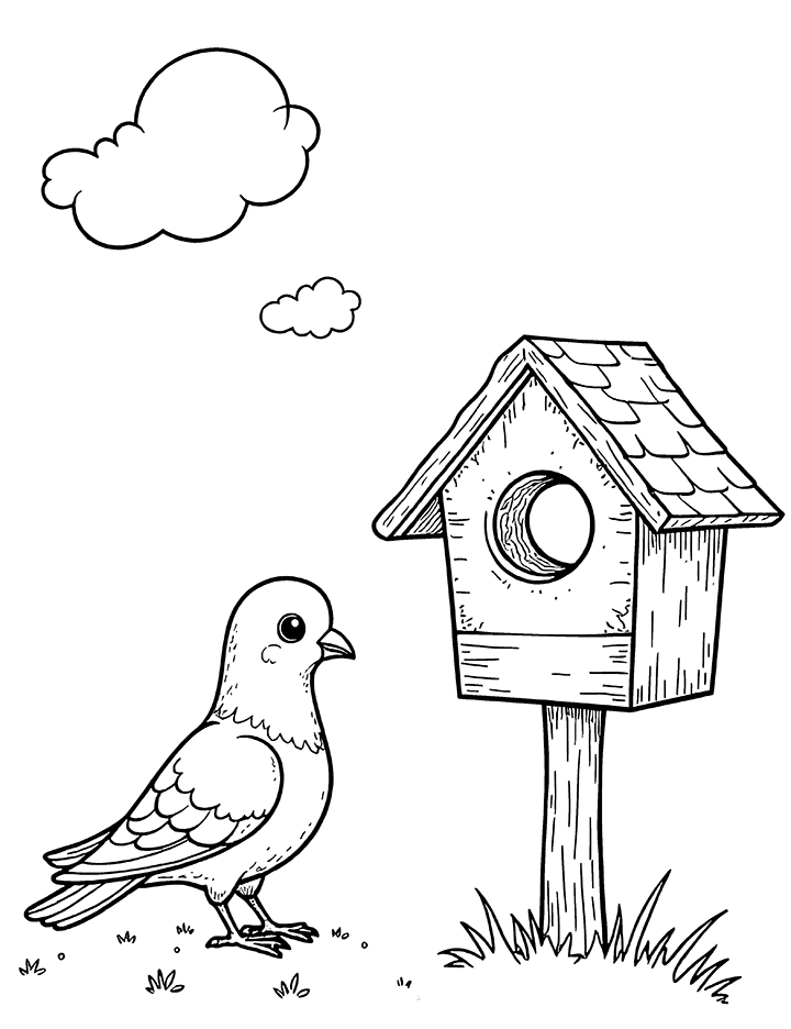 Pigeon and birdhouse coloring page