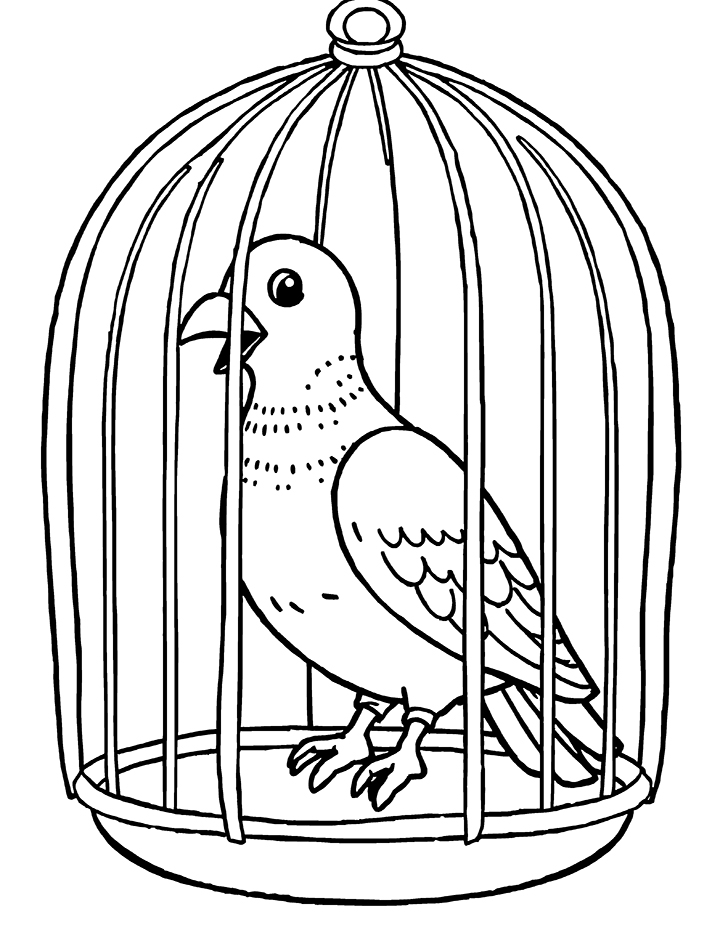 Pigeon in a birdcage coloring page