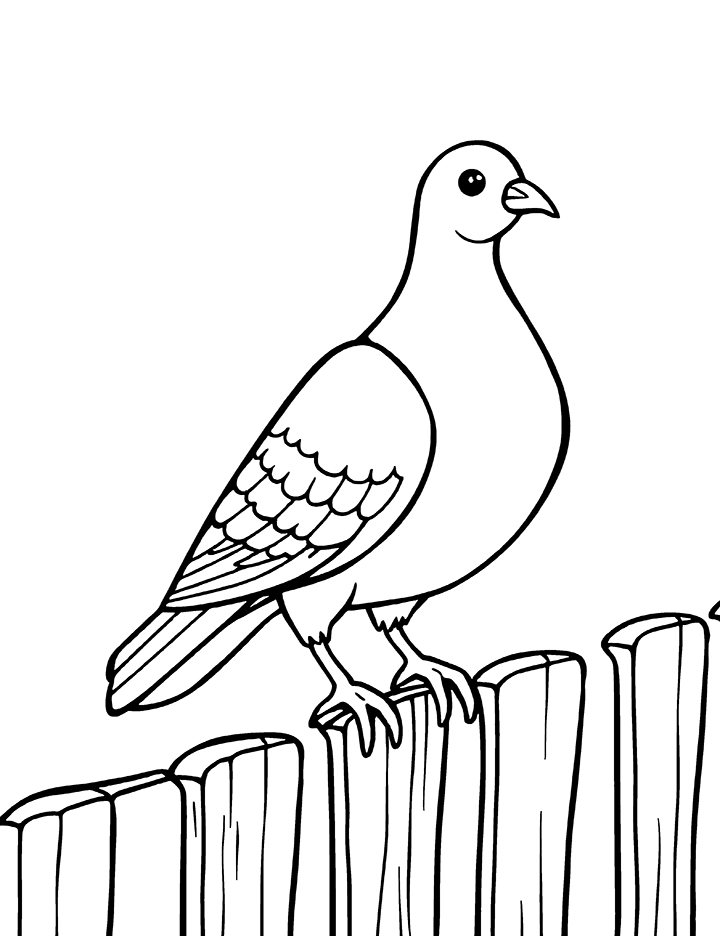 Pigeon perched on a fence coloring page