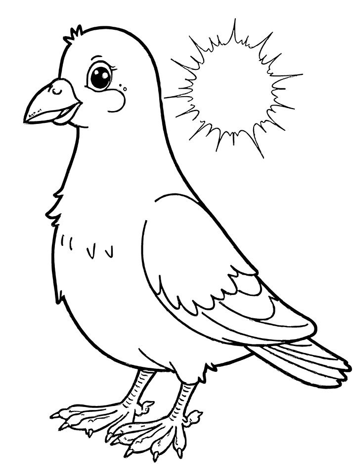 Pigeon with a sun behind coloring page