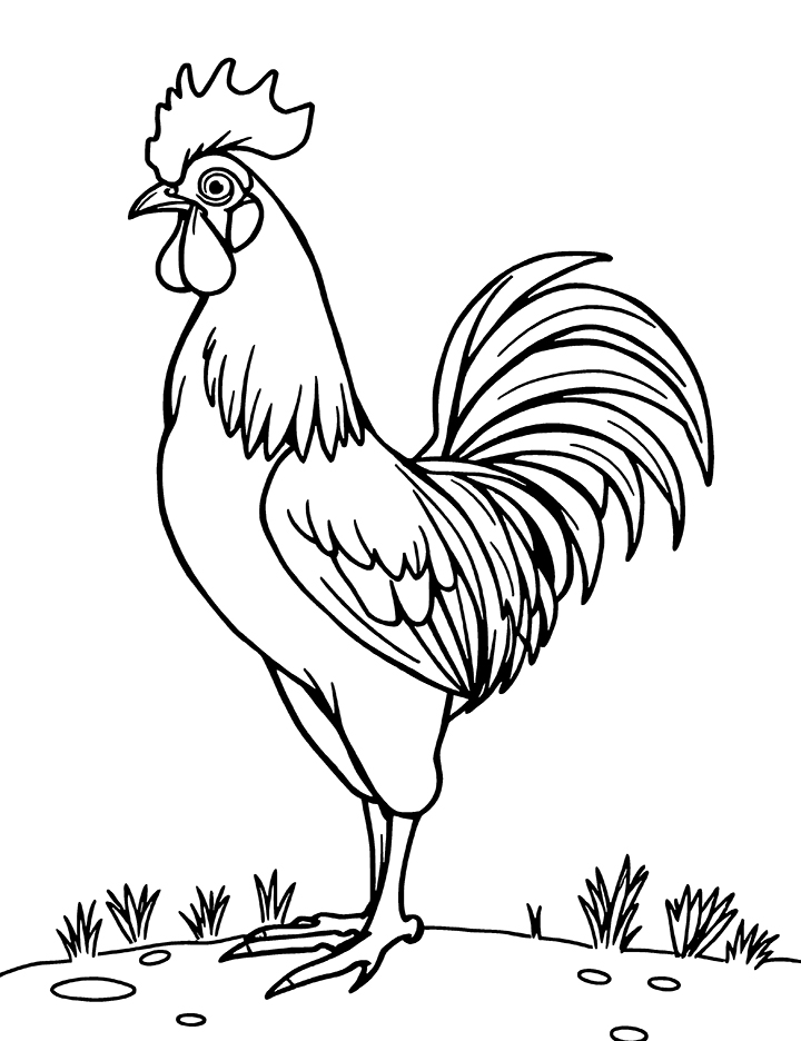 Printable rooster coloring sheet