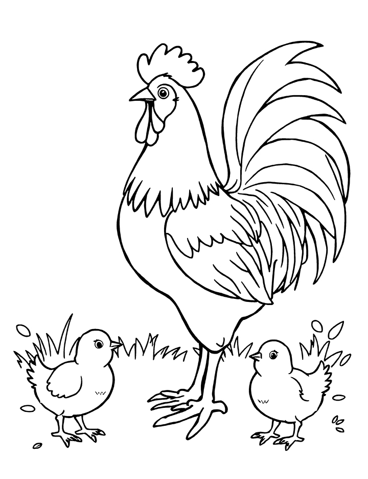 Rooster and chicks coloring page