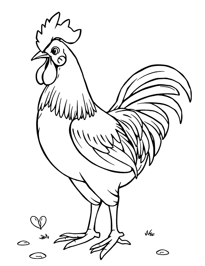 Rooster looking for hen coloring page