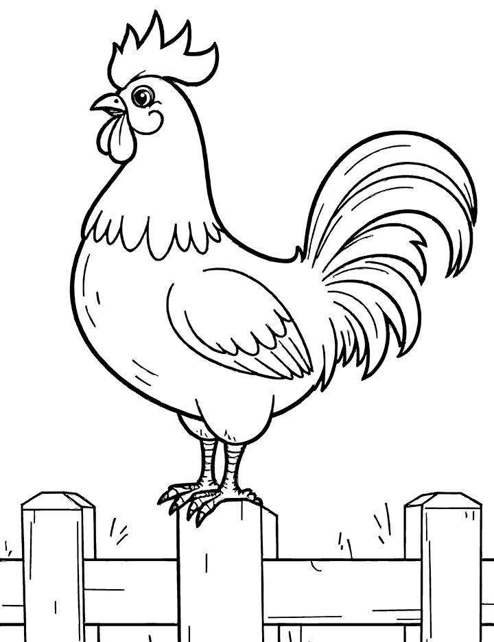 Rooster standing on a fence coloring page