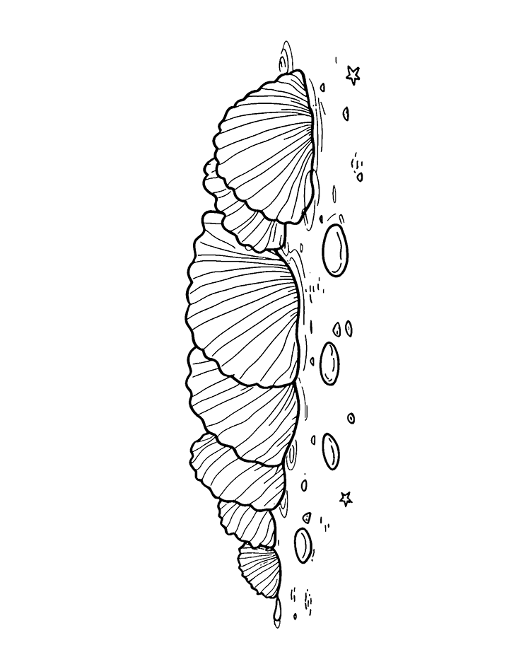 Seashells on beach coloring page