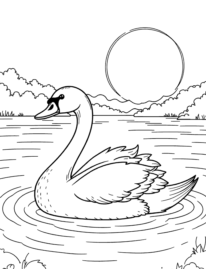 Swan during sunset coloring page