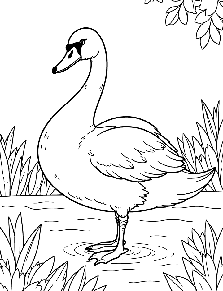 Swan in a beautiful garden coloring page