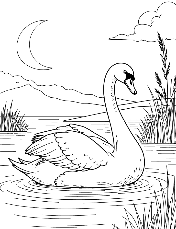 Swan in a moonlit lake coloring page