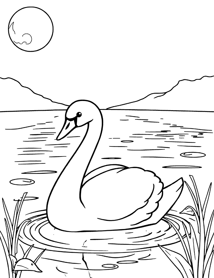 Swan in a moonlit lake coloring page 1