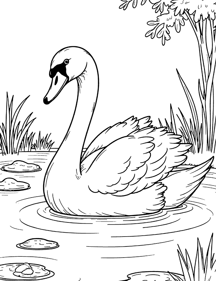 Swan in a peaceful pond coloring page