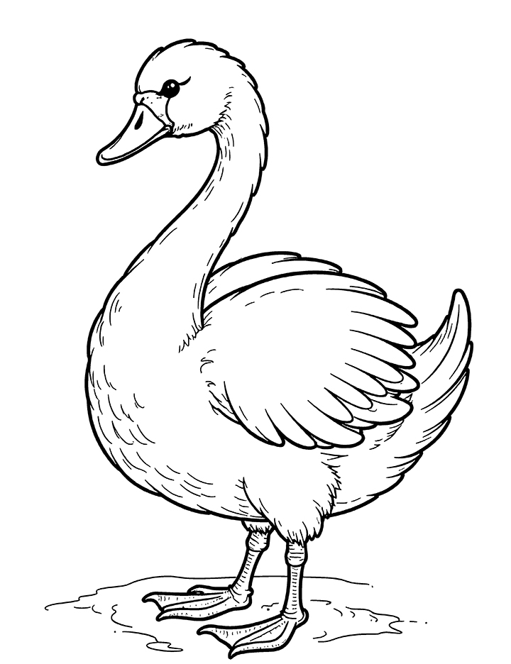 Swan with bright colors coloring page