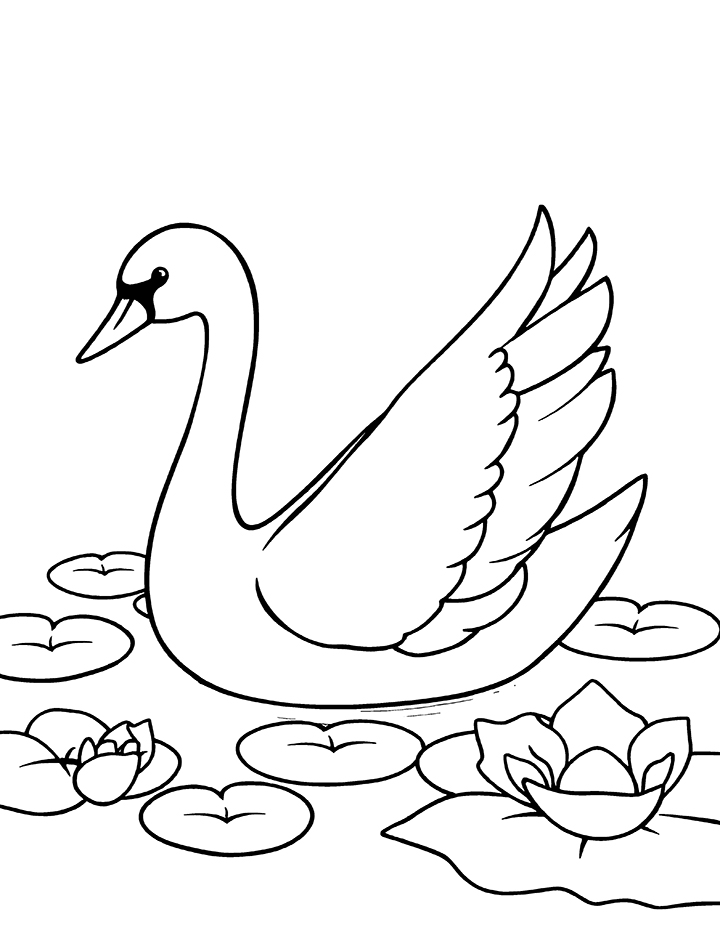 Swan with lily pads coloring page