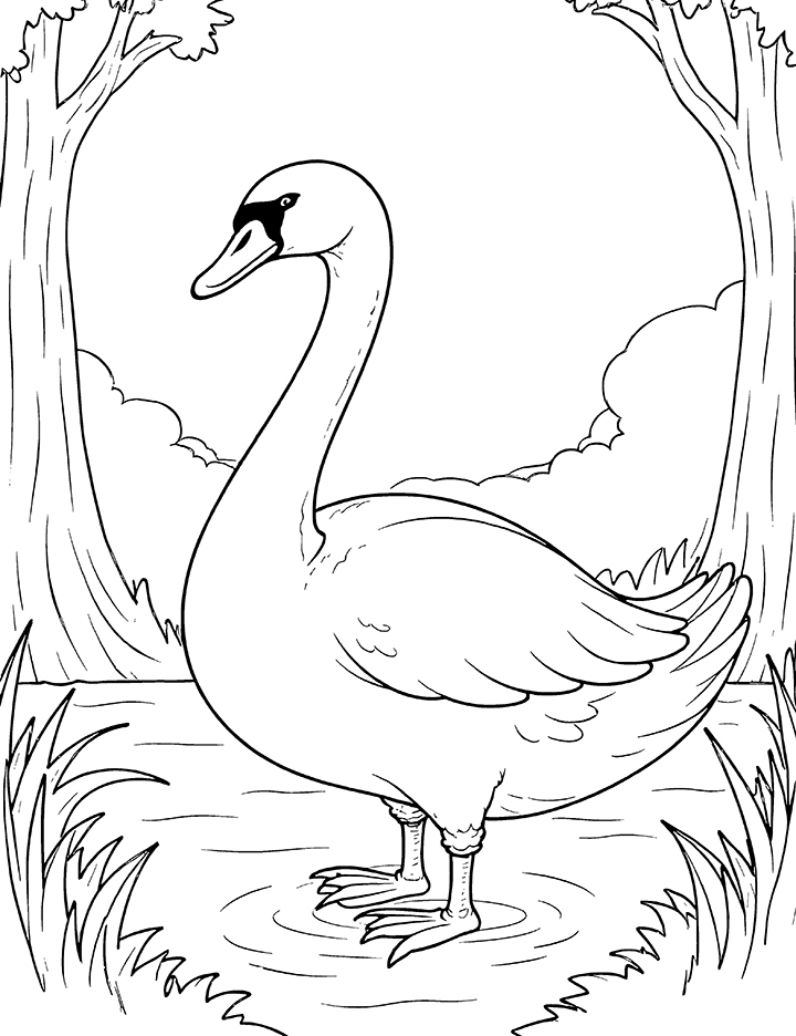 Swan with rippling water coloring page