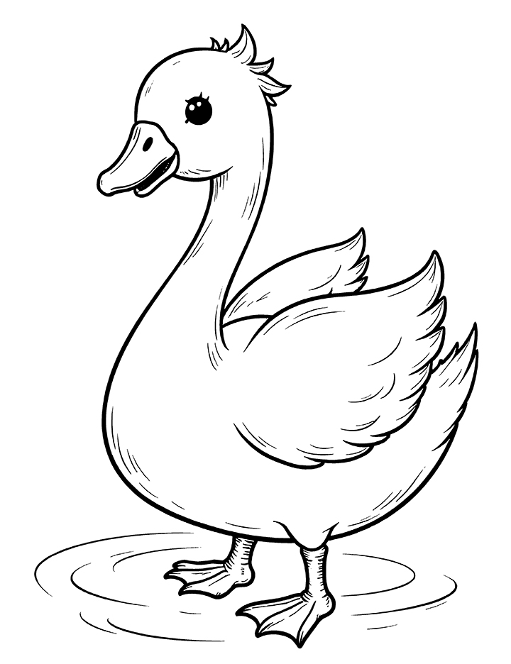 Swan coloring page 2