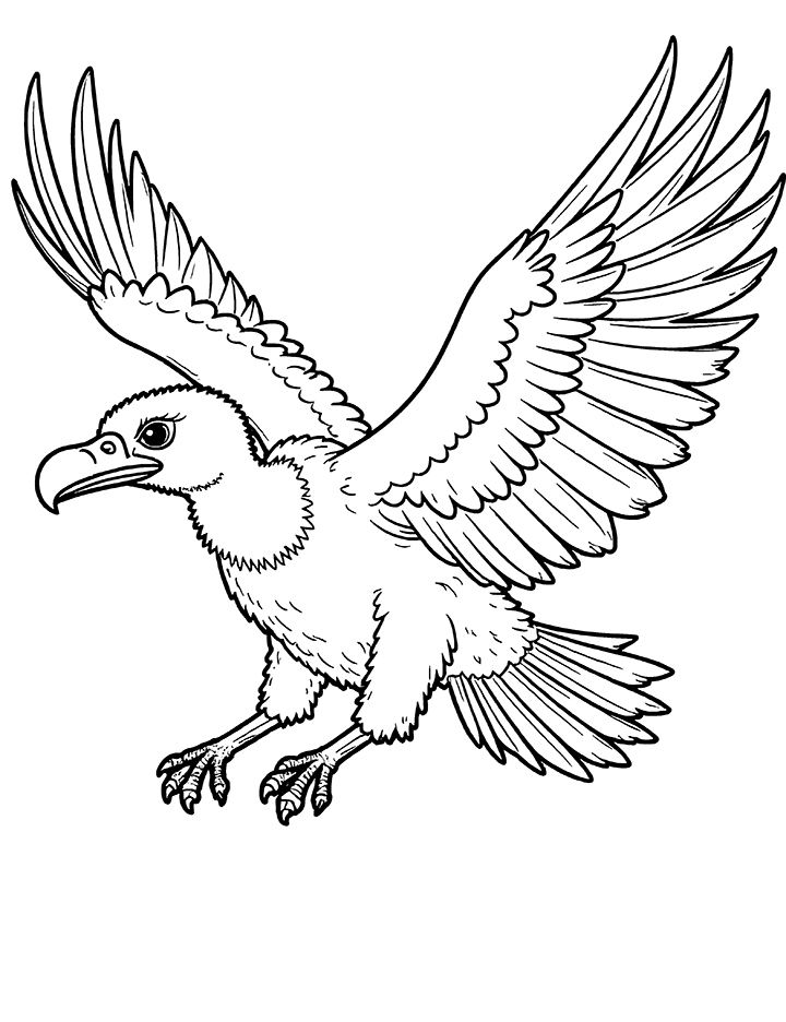 vulture flying coloring page