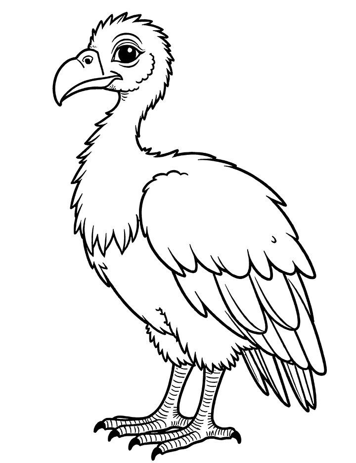 vulture coloring page