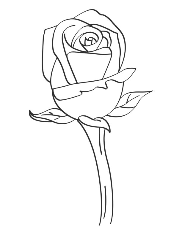 A rose to say... coloring page | Download Free A rose to say ...