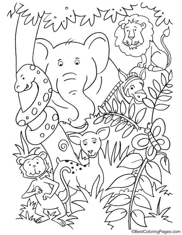 Animals inside the jungle coloring page | Download Free Animals inside ...