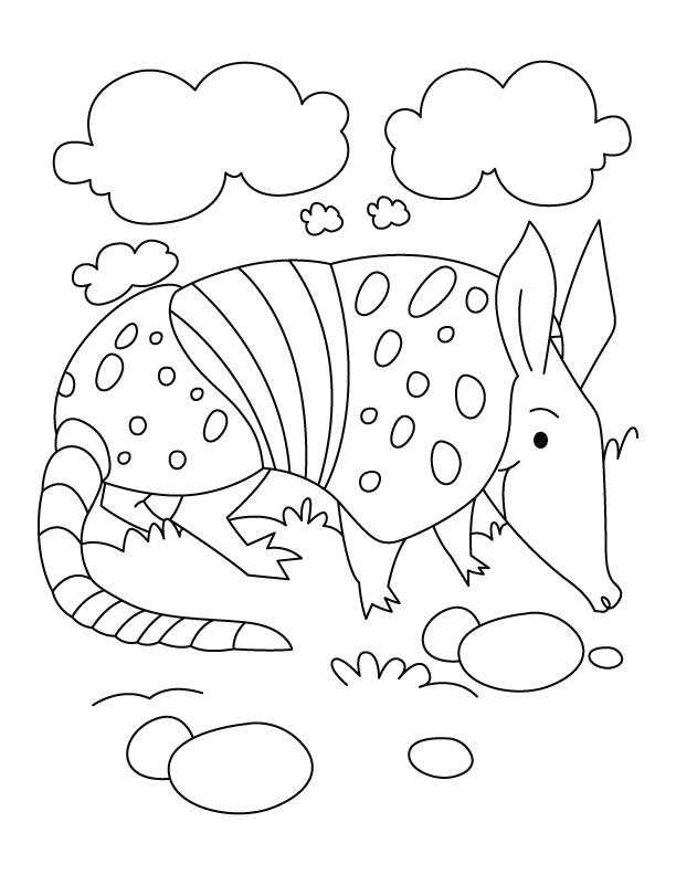 √ Armadillo Coloring Page / Coloring Page For Kids Armadillo Graphic By ...
